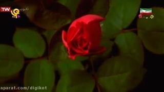 بندپایان