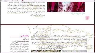 قسمت سوم  فصل 6 ادامه گفتار 2 زیست دهم