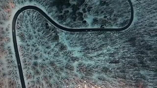شعری از استاد کیانی