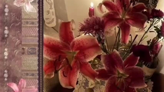 ولی زیبای لیلیوم....