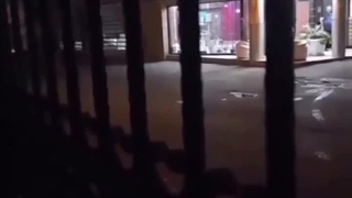 سلام سلطنت طلبی؟