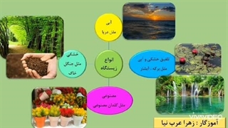 علوم تجربی چهارم ابتدایی