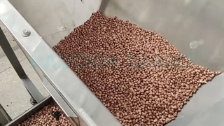 خط بسته بندی حبوبات