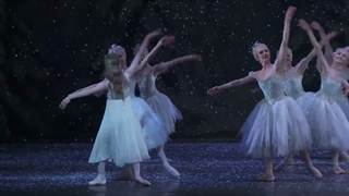 Snowflakes