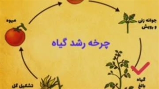 تدریس درس گوناگونی گیاهان بخش آخر