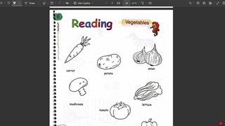 Vegetables ✨