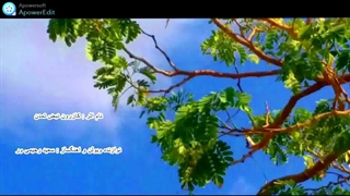 تکنوازی ویولن سعید رحیمی ور _کازرون نبض تمدن