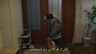 قسمت 9 سریال قدر مطلق عشق با زیرنویس فارسی چسبیده