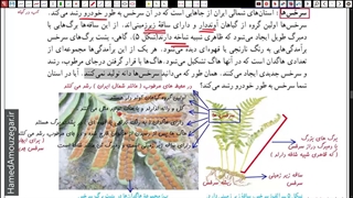علوم نهم - فصل 12 - بخش دوم
