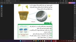 علوم