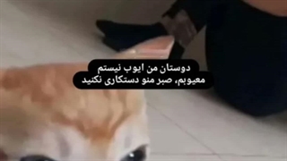 گشنمه خوابم میاد