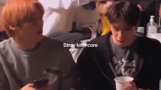 Stray kids
