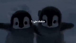 چرا همچین میکنین؟؟؟*کپ*