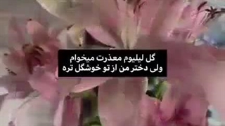 روز پسر مبارک......با یک روز تاخیر
