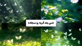حس بعد گریه رو سجاده...: