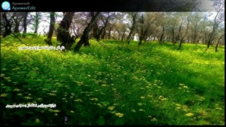 تکنوازی ویولن سعید رحیمی ور_نادرشاه شجاع ترین اسطوره
