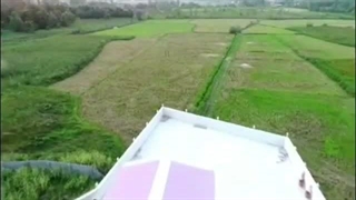 بازرگانی حلیمی نژاد در رشت