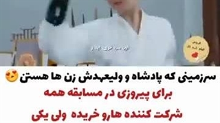 سریال چینی ببر و گل رز