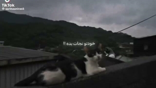 زندگی سختهععع