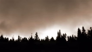 Draconian - Morphine Cloud (lyrics)