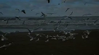 چه دارد آنکه تو را ندارد؟