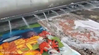 قالیشویی سیتی قشم