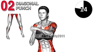 آموزش بوکس