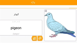 صفر تا صد زبان انگلیسی 132