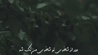 زیبایی آهنگای حاج علی:)