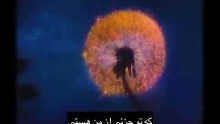 همه ویدیوهامو پاک کنم؟یا همینجوری بمونن یادگاری؟