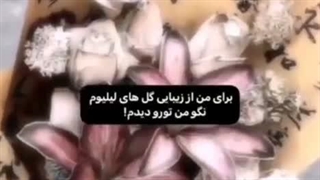 دایان>>>
