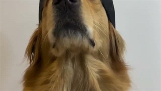 .....