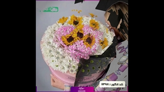سفارش گل داوودی تازه و زیبا