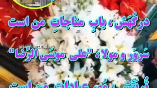 ولادت امام رضاعلیه السلام (کلیپ های نژاد)