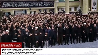 تصاویری از خانم #دارستانی جلوی وزارت خارجه ایران .حمیده سعیدی
