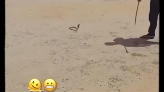 فقط آخرش...