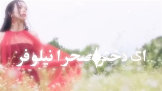 ادیتم از جیسو (کپ)
