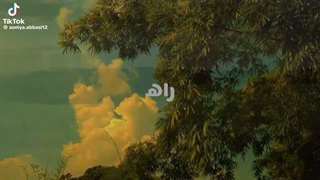 «جریانِ بی‌پایانِ نور»