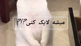 آشنا شیم؟