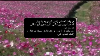 اگه احساس میکنی زشتی این ویدیو رو ببین:)♡