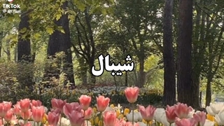 بهترین اهنگگگگگگگ شیبال