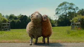 فیلم کارآگاهان گوسفند ۲۰۲۶ The Sheep Detectives دوبله فارسی و بدون سانسور