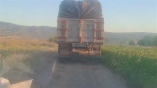 فروش عمده برنج
