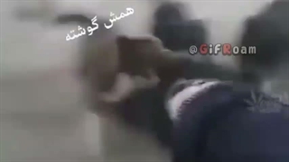 هیکارو جون همش گوشته. بح بح
