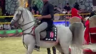 پرورش اسب