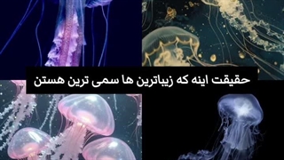 بوی برخطی میاد
