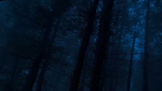وایببب