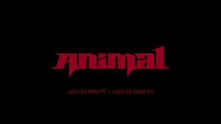 تیزر KATSEYE (캣츠아이)  Animal  Official MV Teaser 2