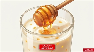 ترکیب عسل و شیر بادام یک معجون شگفت انگیز - هاچ لند