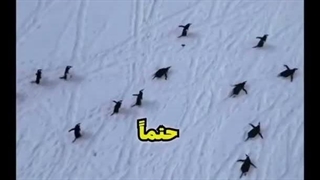 من رو به هانا: